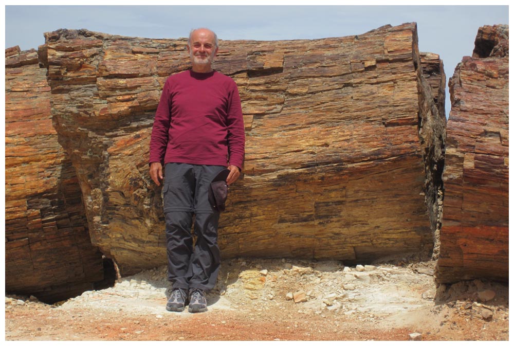 Monumento Natural Bosque Petrificado Jaramillo