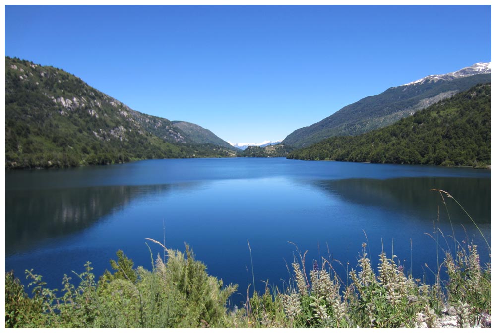 Am Lago Yelcho