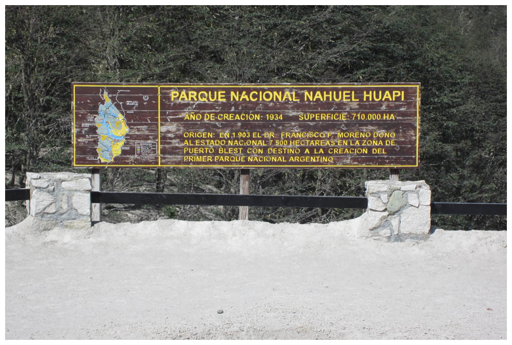 Asche im Nationalpark Nahuel Huapi bei Villa La Angostura
