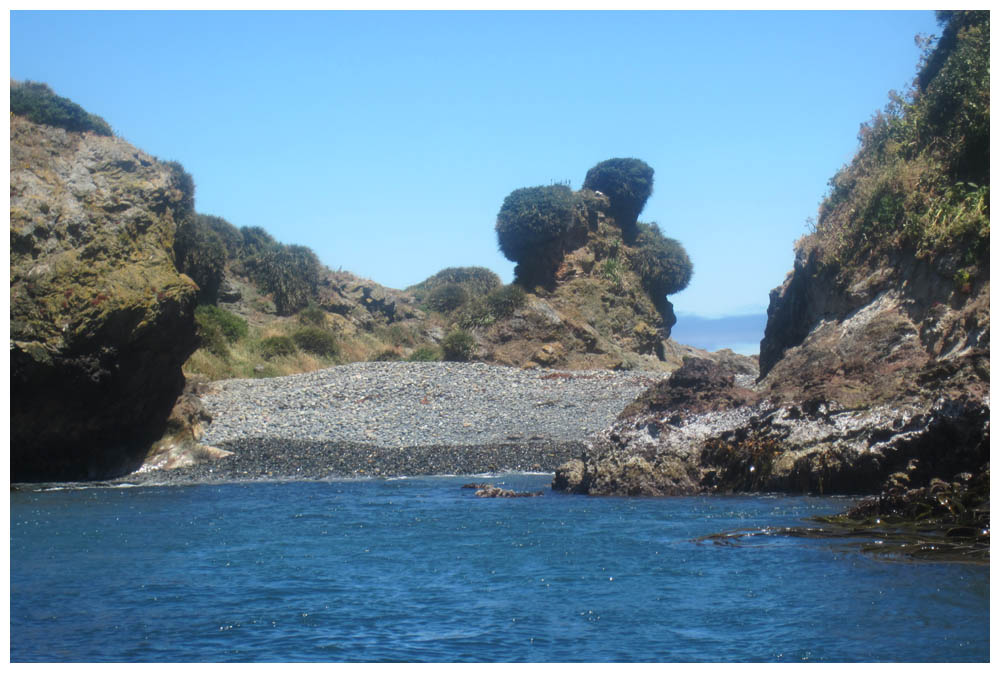 Chiloé, Islotes de Puñihuil