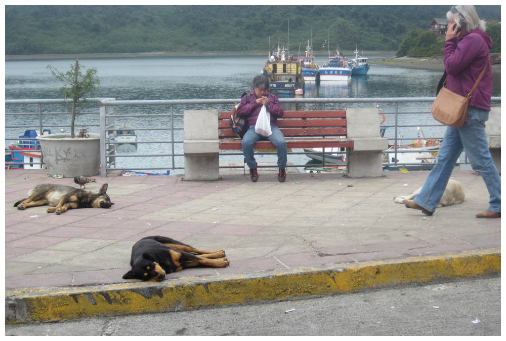 Markt in Puerto Montt Angelmó