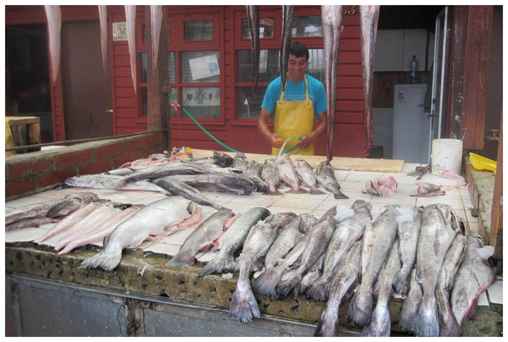 Fischverkäufer in Puerto Montt Angelmó