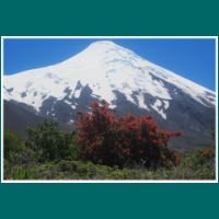 120101004-Osorno.jpg