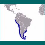 Verbreitungsgebiet der Seelöwen in Südamerika