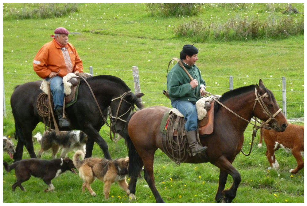 Gauchos