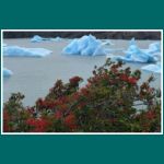 Parque Nacional Torres del Paine, Lago Grey