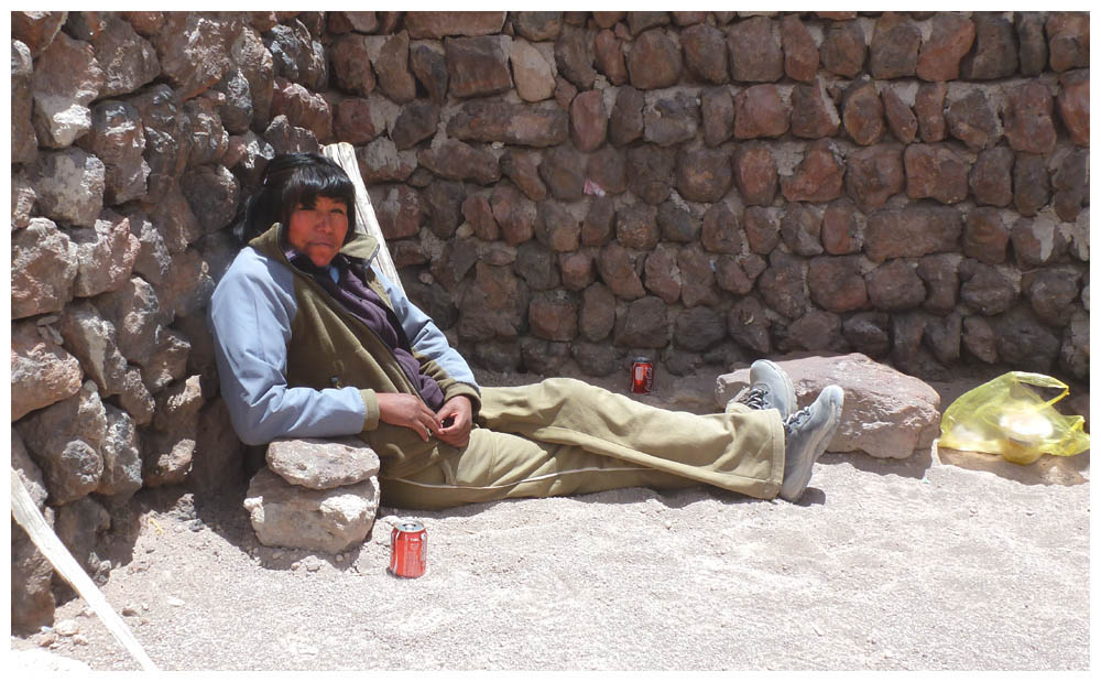 Siesta bei der Laguna Miscanti