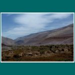 Fahrt durch die Atacama von Iquique nach Arica, Oase
