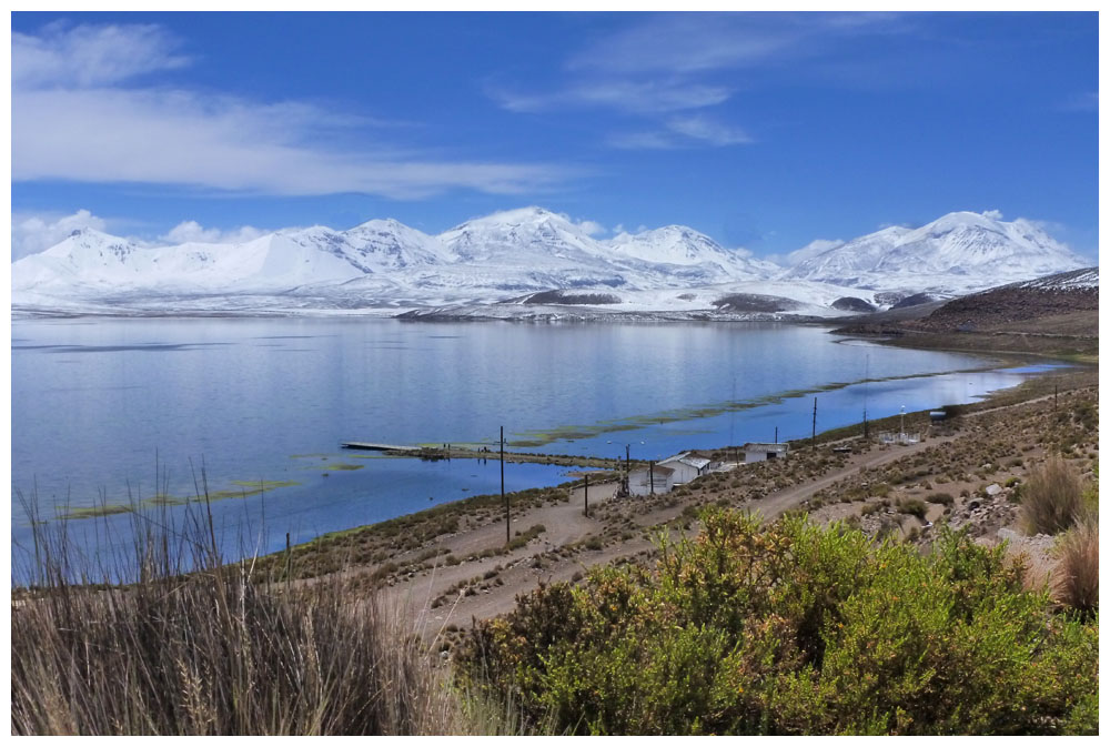 4517 m über dem Meer liegt einer der höchstgelegenen Seen der Welt, der Lago Chungará.