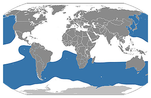 Karte, Albatros-Verbreitungsgebiet