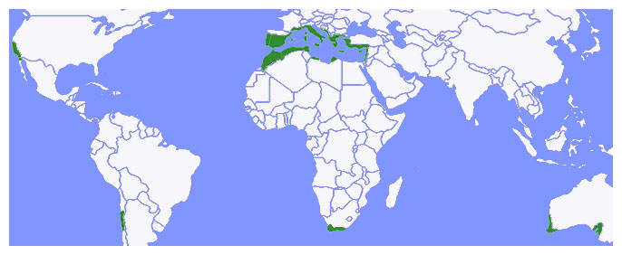 Karte, Mediterrane Vegetation