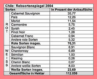 Rebsortenspiegel chilenischer Wein