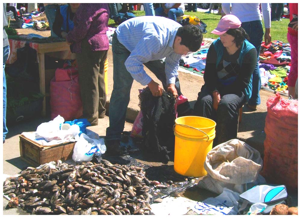 Markt in Calbuco