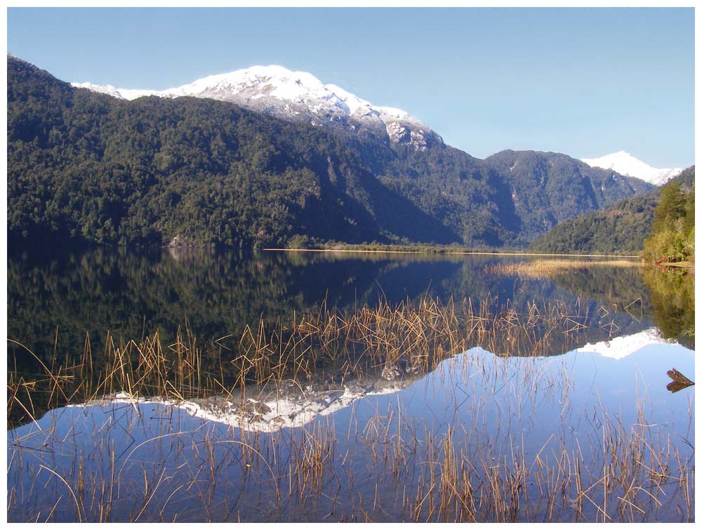 Lago Cayutué