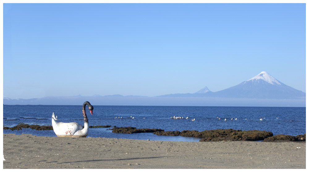 Llanquihue