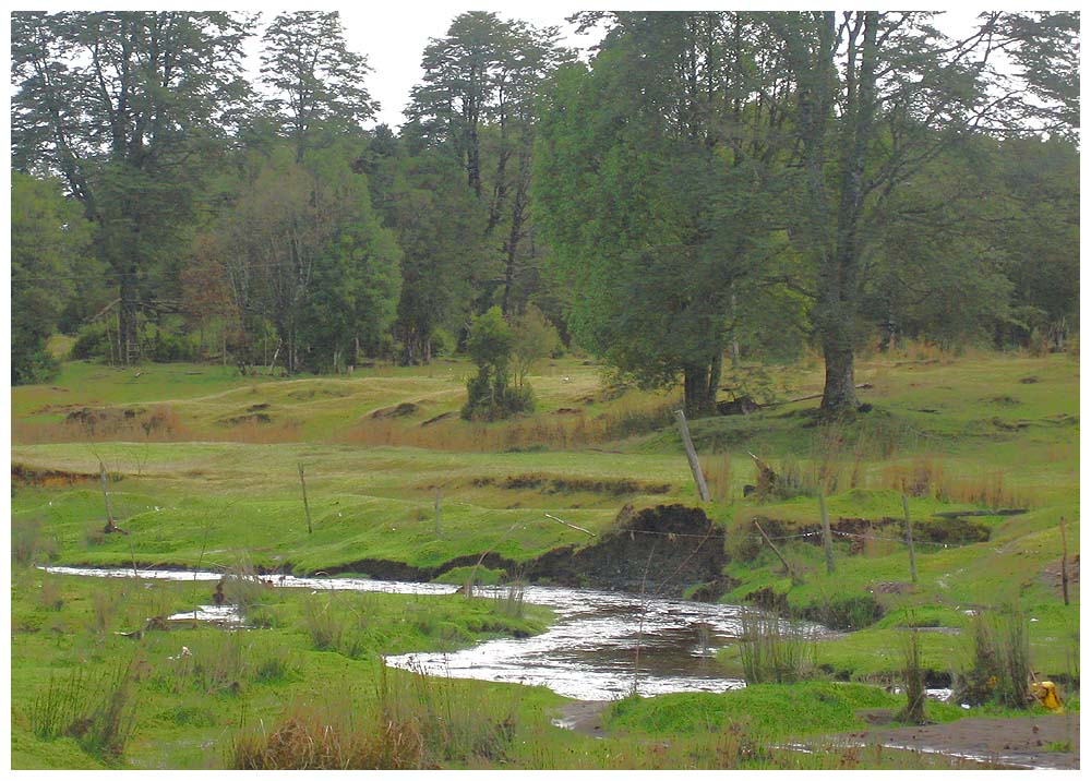 Río Chinchihuapi, Monte Verde