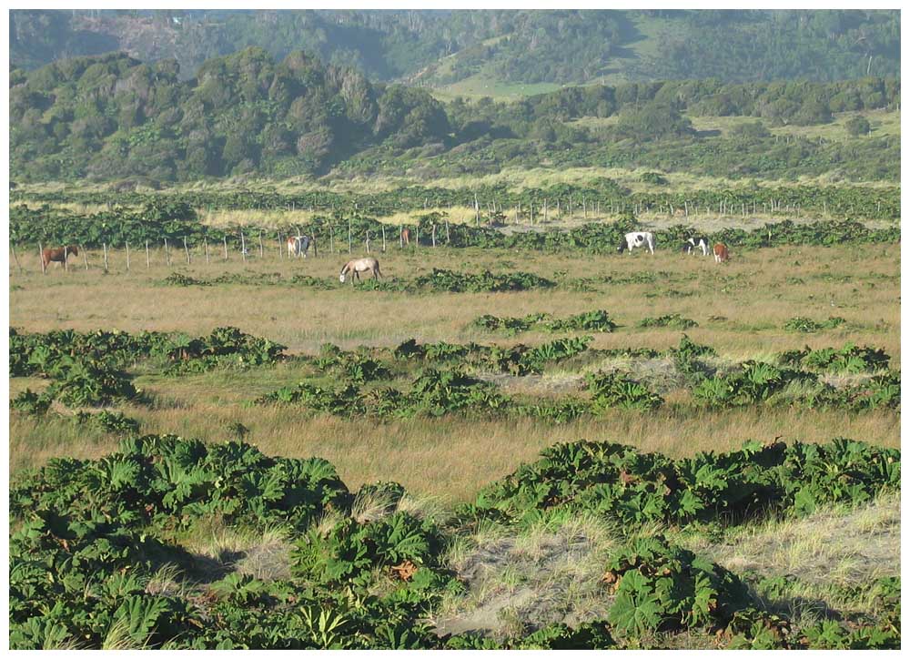 Nationalpark Chiloé