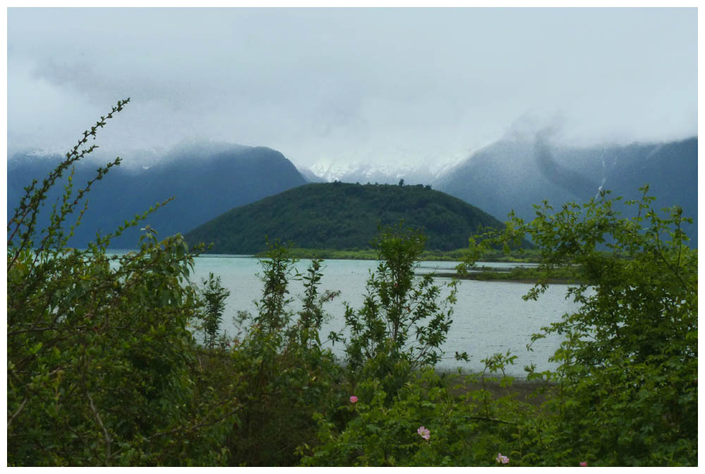 Lago Yelcho, Isla Monita