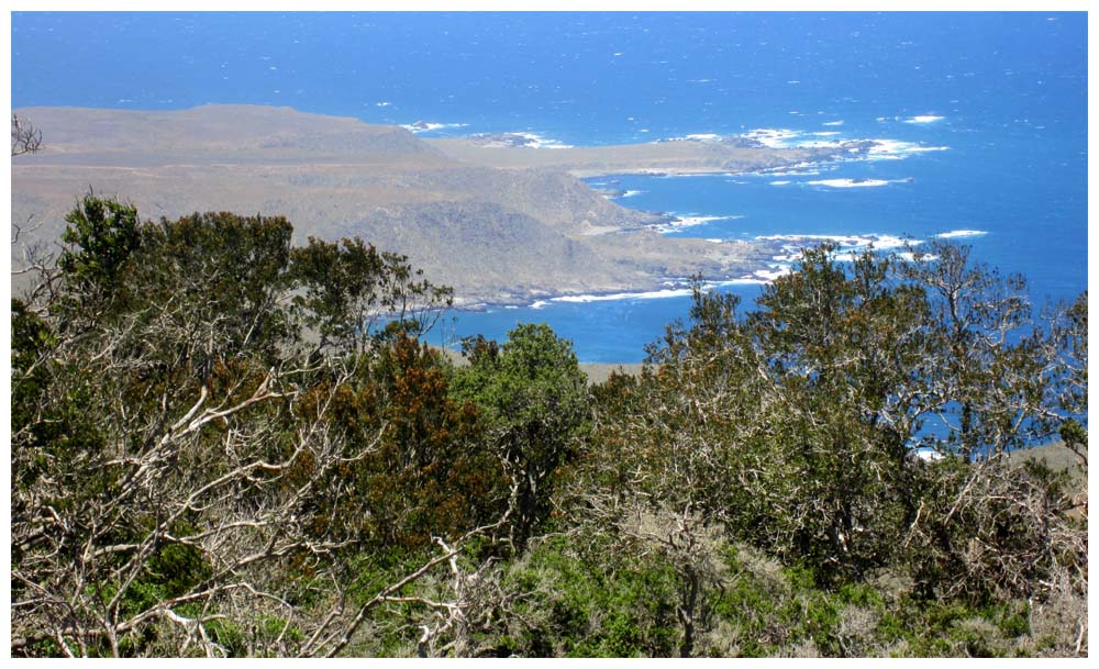 Nationalpark Bosque de Fray Jorge