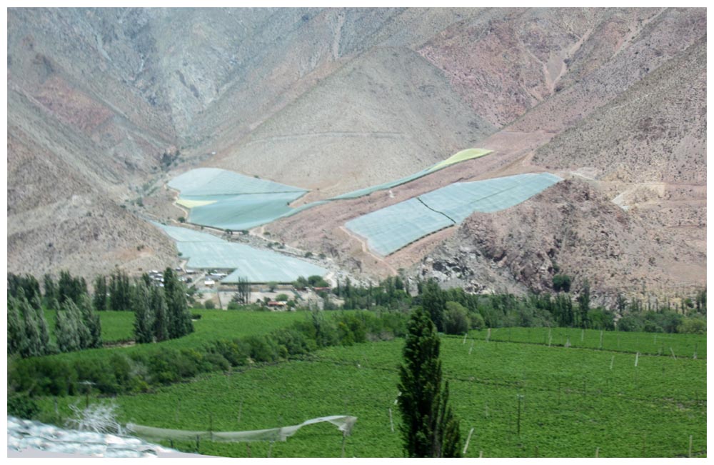 Weinanbau im Valle de Elqui