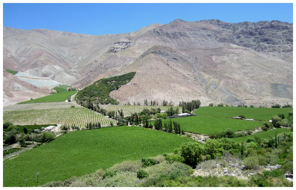 Valle de Elqui