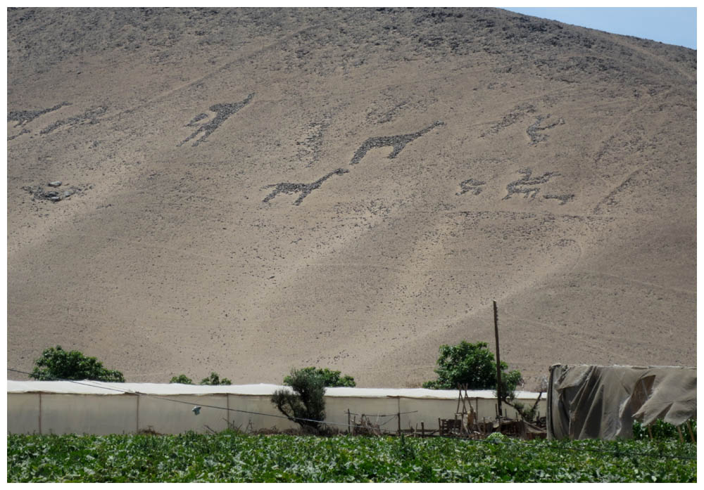 Valle de Azapa, Geoglyphen