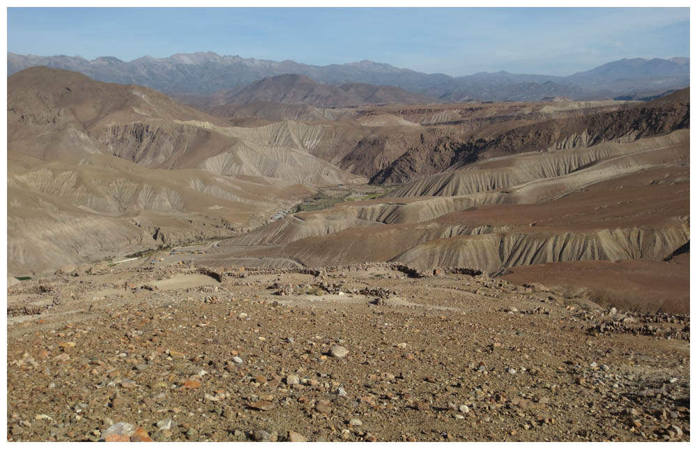 Atacama zwischen Arica und Putre