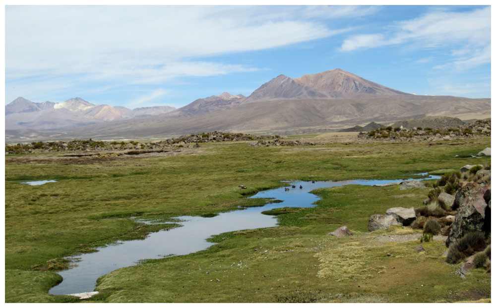 Lauca Nationalpark