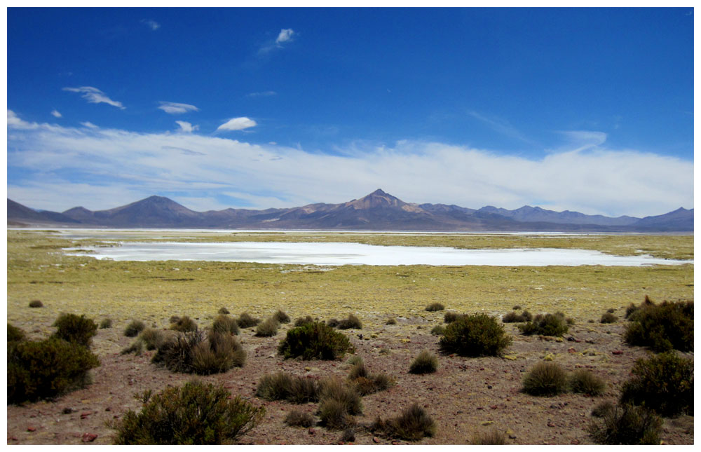 Salar de Surire