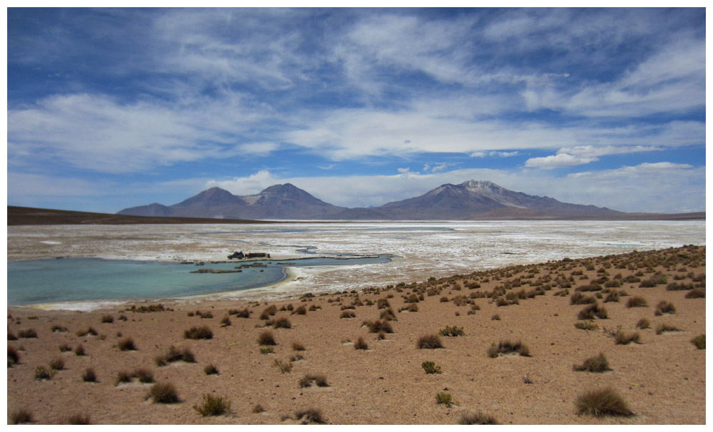 Salar de Surire