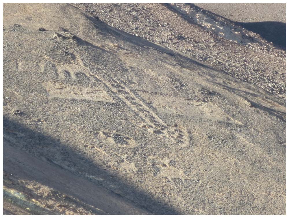 Atacama, Geoglifos de Pintados