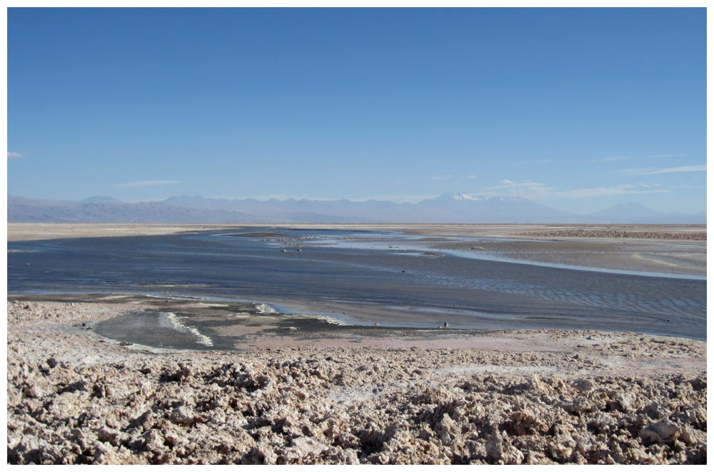 Salar de Atacama, Laguna Chaxa
