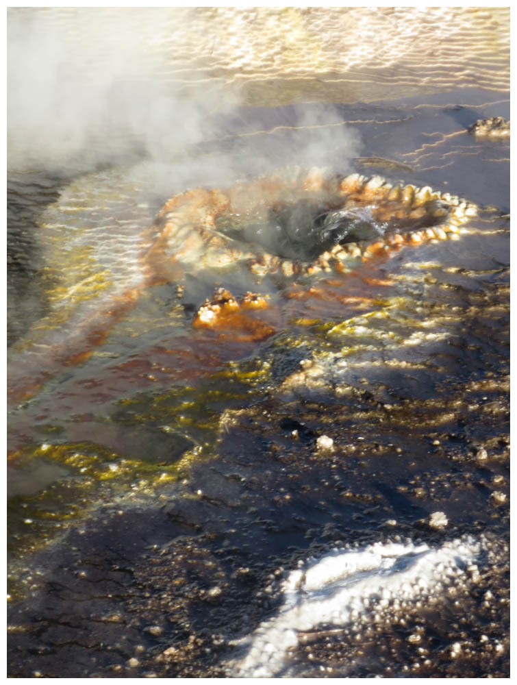 Geysirfeld El Tatio