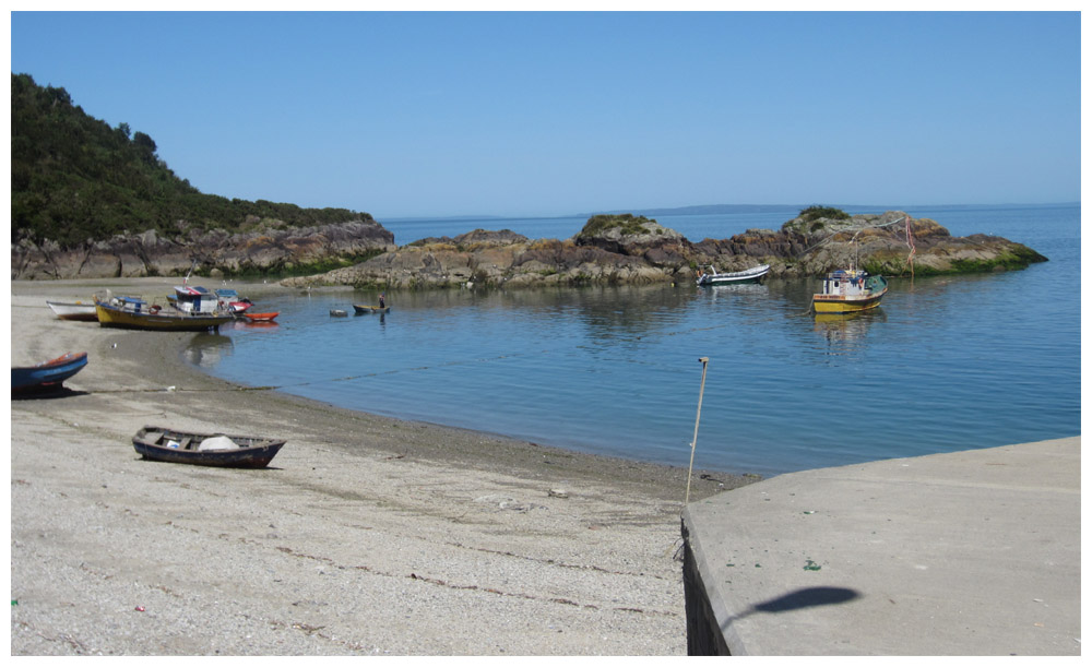 Caleta La Arena, Seelöwentour