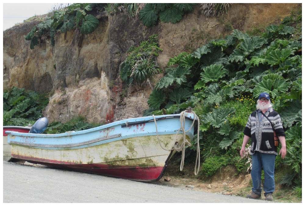 Caleta Estaquilla, Arvid