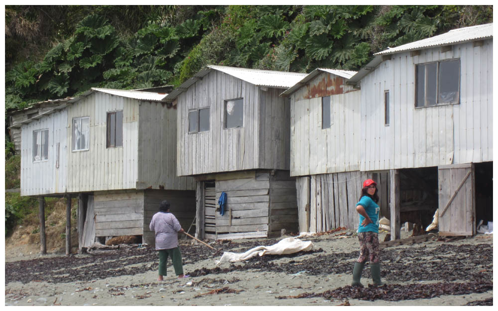 Caleta Estaquilla, Luche vor den Fischerhütten