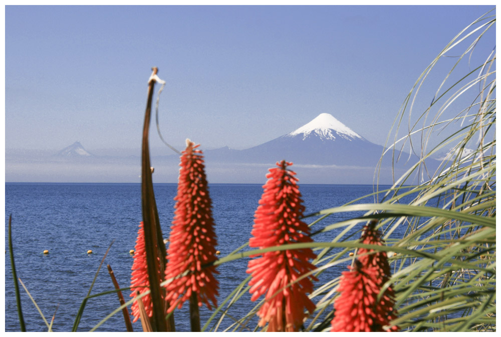 Frutillar - Osorno