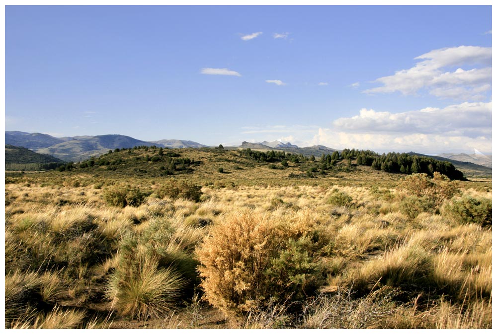 Pampa vor Bariloche