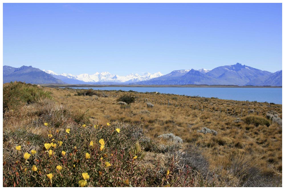  Lago Viedma