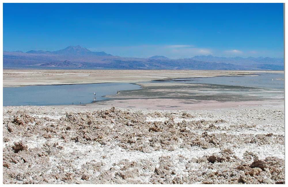 Laguna Chaxa im Sektor Soncor des Salar de Atacama