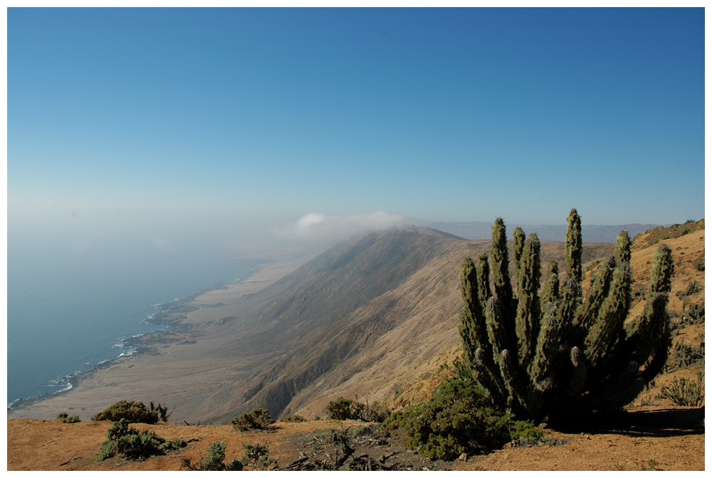 Pan de Azúcar