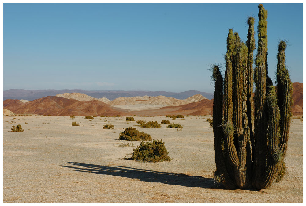 Im Nationalpark Pan de Azúcar