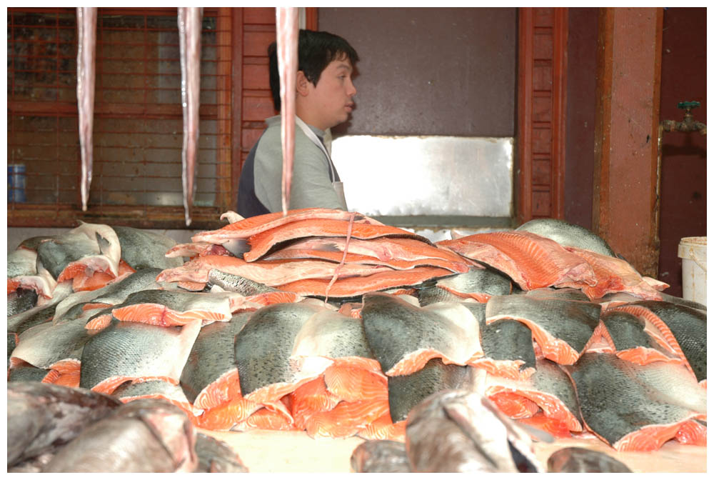 Puerto Montt, Fischmarkt in Angelmó