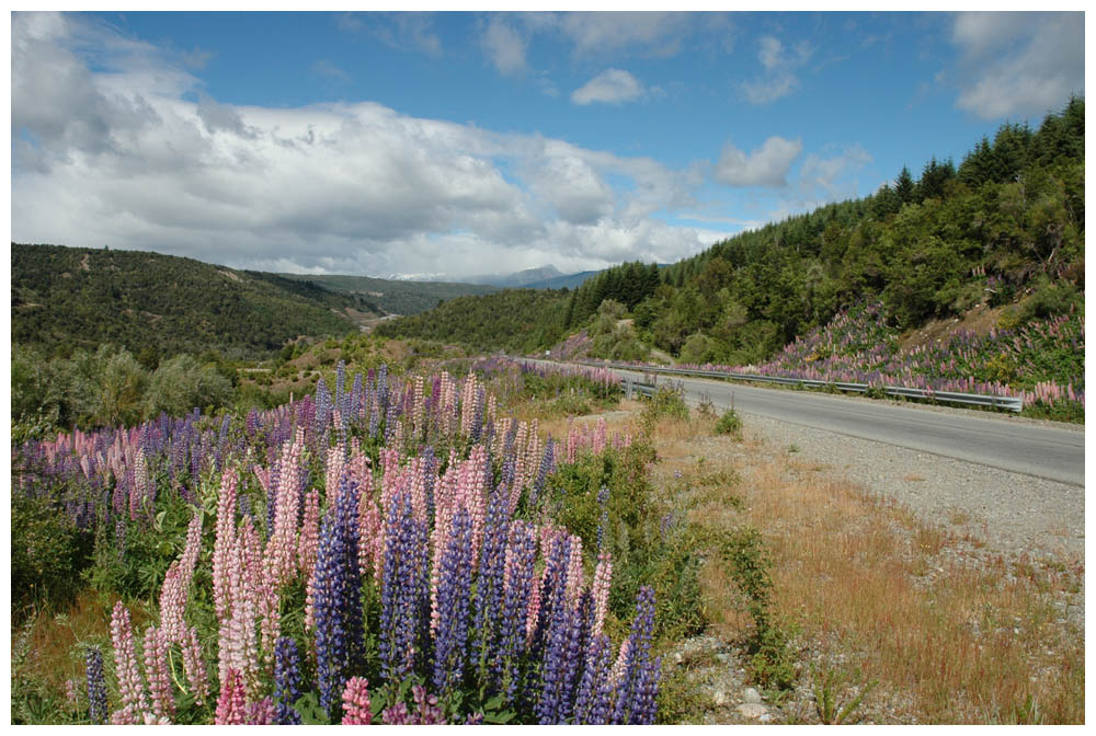 Von Bariloche nach El Bolsón