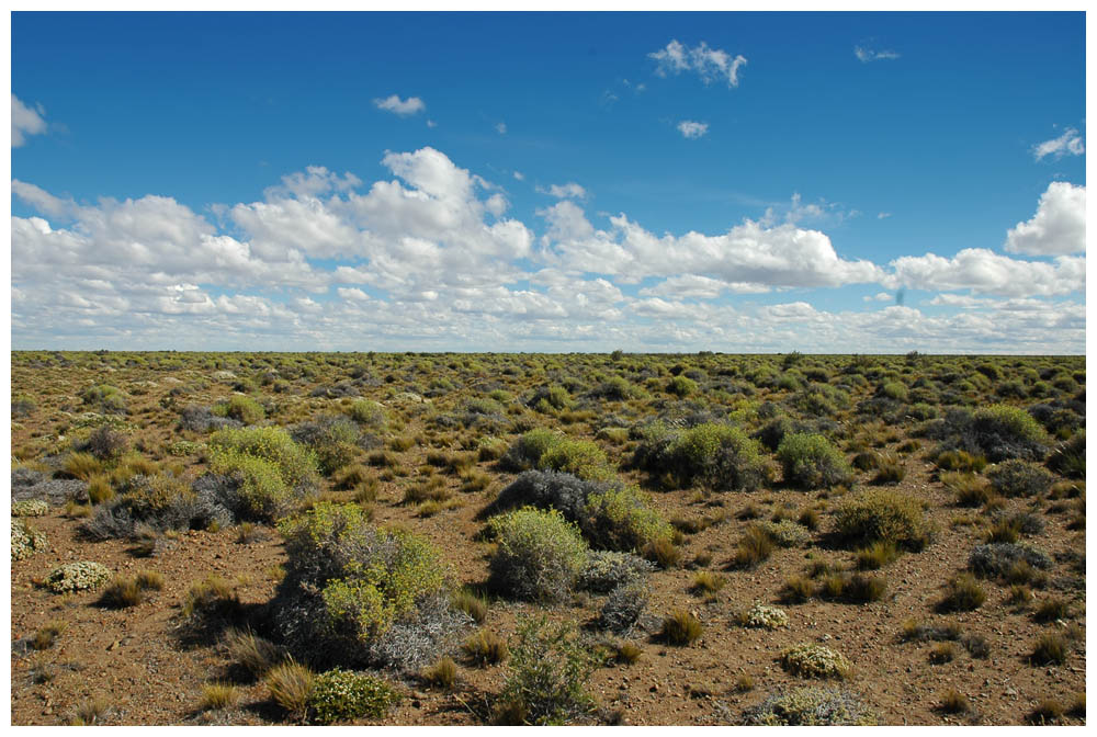 Pampa in Argentinien