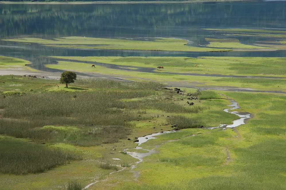 Estuario de Reloncaví bei Ralún