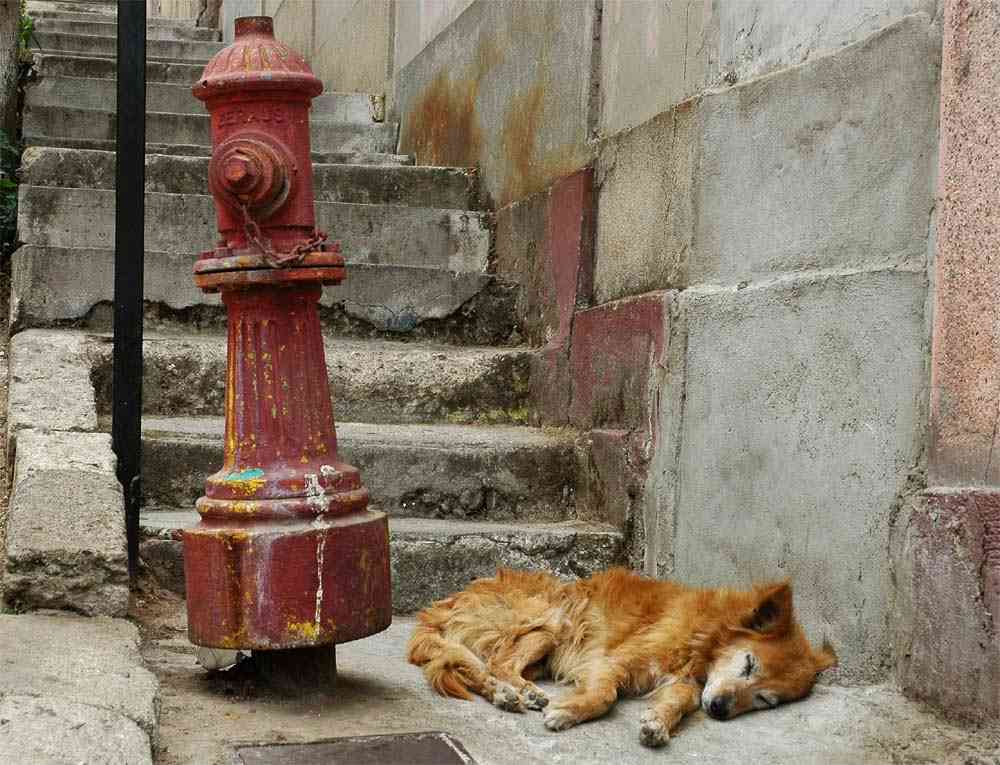 Valparaiso