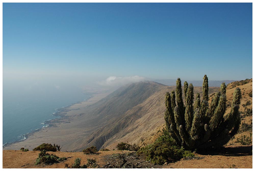 Pazifik beim Parque Nacional Pan de Azúcar