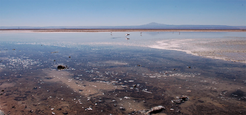 Salar de Atacama, Sektor Soncor