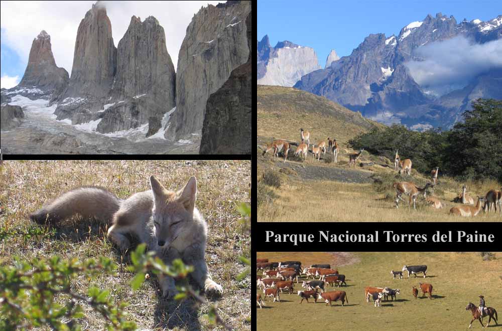 Fotos aus dem Nationalpark Torres del Paine